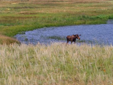  OLYMPUS DIGITAL CAMERA Stock Photos