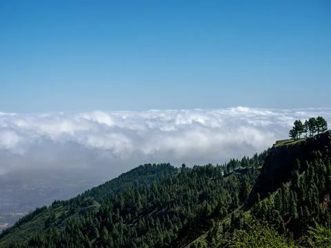 OLYMPUS DIGITAL CAMERA Fotos Stock