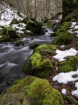 OLYMPUS DIGITAL CAMERA River in forest with snow, nature reserve, winter land Stock Photos