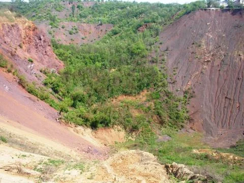 OLYMPUS DIGITAL CAMERA  Trees and shrubs at the bottom of an abandoned quarry Stock Photos