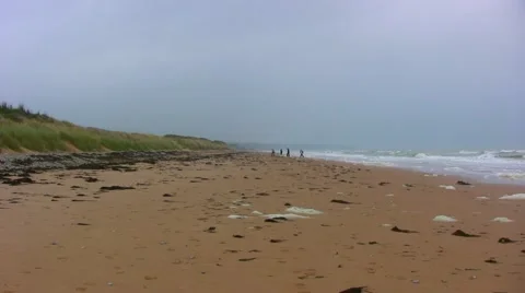 Omaha Beach just below the Normandy American WW2 Cemetery Video stock 44438870