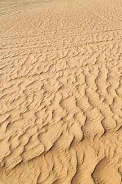In oman  abstract  texture line wave Stock Photos