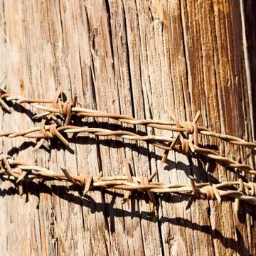 In oman barbwire in the background Stock Photos
