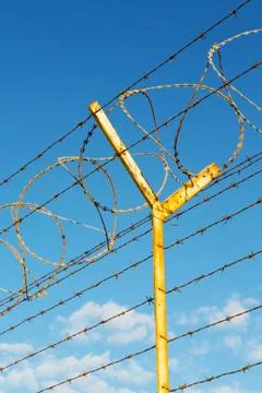 In oman barbwire   background Stock Photos