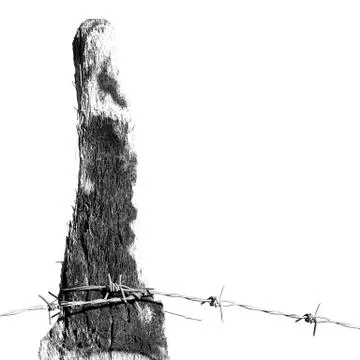 In oman barbwire in the background Stock Photos