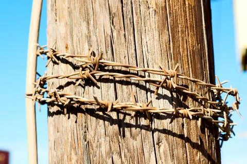 In oman barbwire in the background Stock Photos
