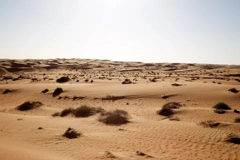 Oman Desert Foto stock