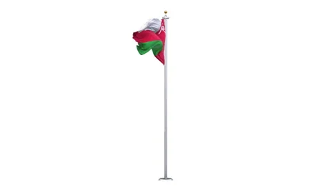 Oman flag waving 360-degree rotation looping. Stock Footage 335385172
