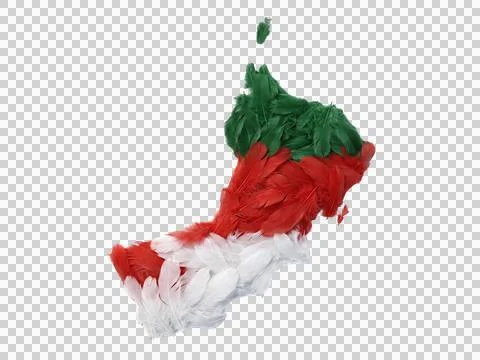Oman map made of feathers on a transparent background, 3d illustration. Stock Illustration