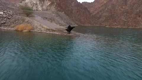 Oman Middle East Stock Footage 111884884