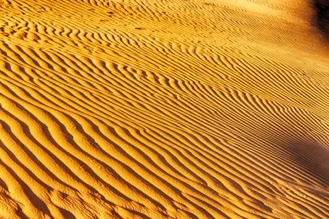 In oman the old desert and the empty quarter abstract  texture line wave Stock Photos