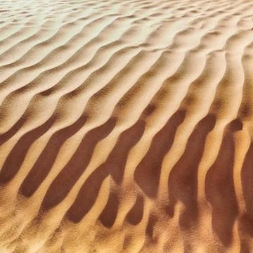 In oman the old desert and the empty quarter abstract  texture line wave Stock-Fotos