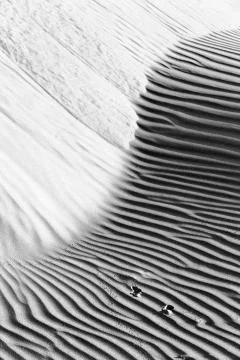 In oman the old desert and the empty quarter abstract  texture line wave Foto stock