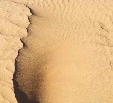 In oman the old desert and the empty quarter abstract  texture line wave Stock Photos