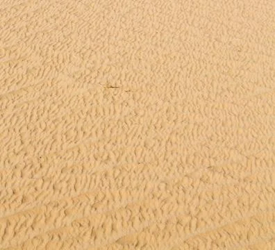 In oman the old desert and the empty quarter abstract  texture line wave Stock-Fotos