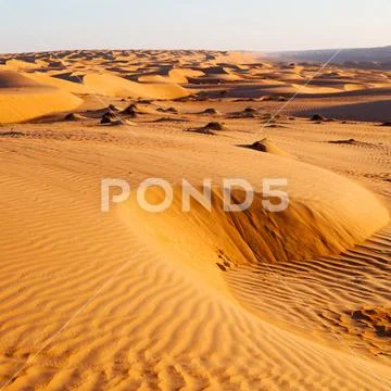 In oman old desert rub al khali the empty quarter and outdoor sand dune Stock Photos