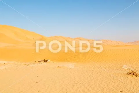 In oman old desert rub al khali the empty quarter and outdoor sand dune Stock Photos