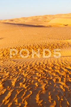In oman old desert rub al khali the empty quarter and outdoor sand dune Stock Photos