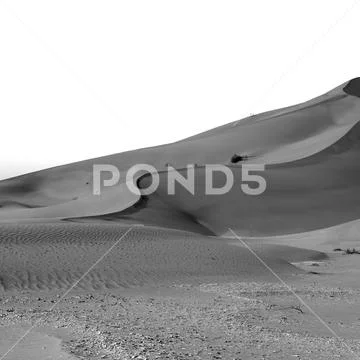 In oman old desert rub al khali the empty quarter and outdoor sand dune Stock Photos