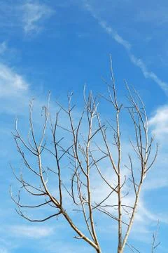 In oman  sky light Stock Photos