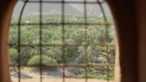 Oman - Stock V3-0068 Stock Footage 333317652