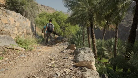 Oman - Stock V3-0097 Stock Footage 333319630