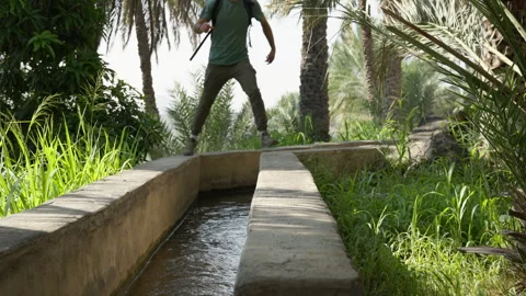 Oman - Stock V3-0103 库存影片 333320064