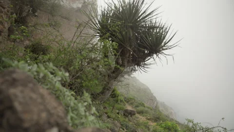 Oman - Stock V3-0286 Video stock 333330247