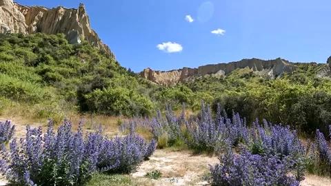 Omarama Clay Cliffs unique landscape with pinnacles, deep ravines, and shar.. Stock Footage 295011350