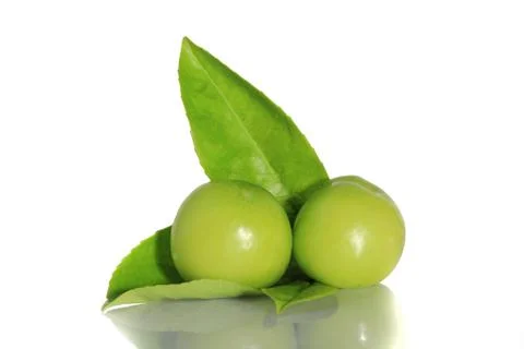 Ome on White Background 스톡 사진