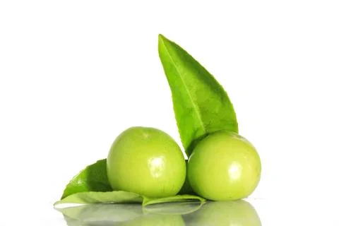 Ome on White Background 스톡 사진