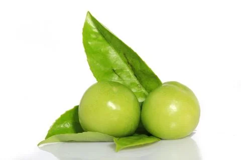 Ome on White Background 스톡 사진