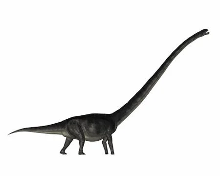 Omeisaurus dinosaur - 3D render Stock Illustration