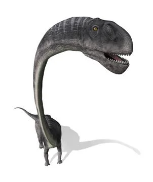 Omeisaurus Dinosaur From Above Stock-Illustration
