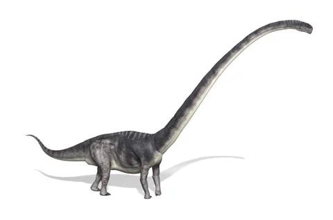Omeisaurus Dinosaur Stock Illustration