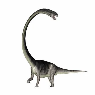 Omeisaurus dinosaur roaring with its long neck - 3D render Stock Illustration