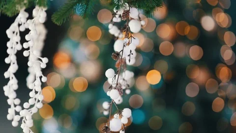 Omela's branches with bokeh on the background Stock Footage 120876196