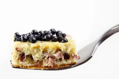 Omelette with bacon and elderberries Stock Photos