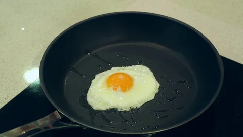 Omelette. Stock Footage 73908781