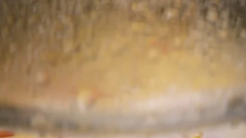 Omelette with tomato on pan. Stock Footage 70996769