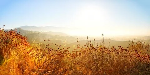 O'Melveny Panoramic 2 스톡 사진