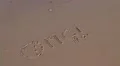 OMG written in sand washed away by water HD Footage