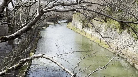 Omihachiman Stock Footage 302562953