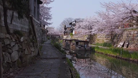 Omihachiman moat in Spring, Sakura blooming over historic path Vídeo Stock 129129891