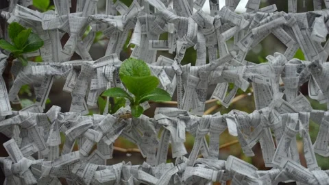 Omikuji paper in the rain surrounded by spring plants Video stock 264465337