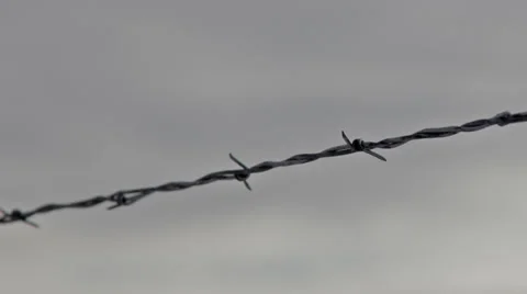 Ominous Barbed Wire Timelapse Stock Footage 33510051