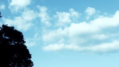 Ominous Blue Cloudy Timelapse in dark forest 動画素材 78249102