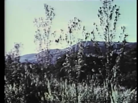 Ominous build-up from serene countryside to exploding hut in field 스톡 동영상 260249277
