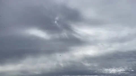 Ominous clouds. Storm approaching. Birds flying. Stock Footage 164026598