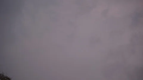 Ominous dark clouds backdrop cocoanut palm trees Stock-Footage 98782546